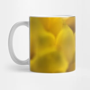 Flower blooms in macro Mug